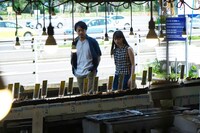 「いつも月夜に米の飯」