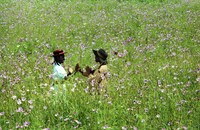 「カラーパープル」 (c) Warner Bros. Entertainment Inc.