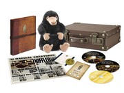 「ファンタスティック・ビーストと魔法使いの旅 プレミアムBOX」展開図