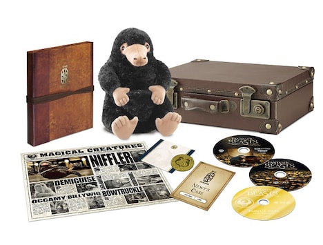 「ファンタスティック・ビーストと魔法使いの旅 プレミアムBOX」展開図