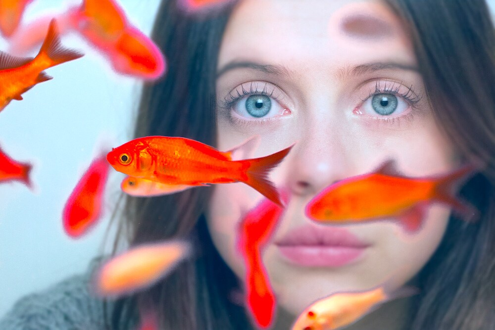 IQ185の天才コミュ障女子が絶叫「マイ・プレシャス・リスト」予告編