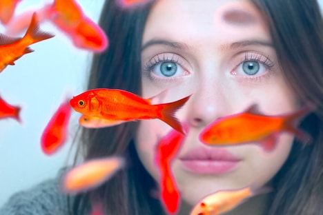 「マイ・プレシャス・リスト」