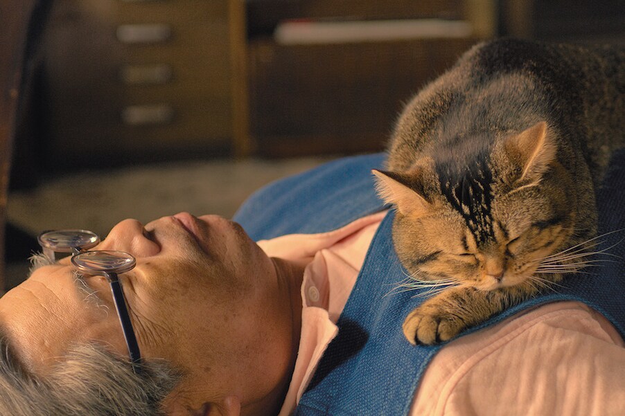 ねことじいちゃんが仲良く昼寝、岩合光昭監督作の特報が到着 - 映画