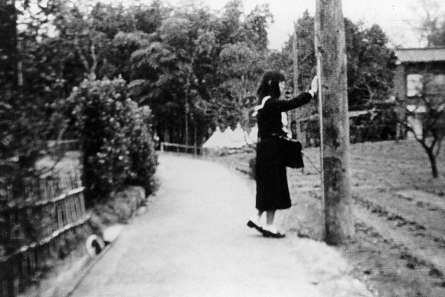 「青春」