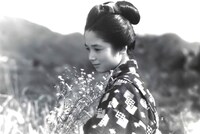 「野菊の如き君なりき」