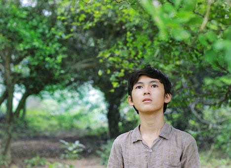 「草原に黄色い花を見つける」