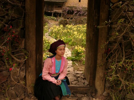 「モン族の少女 パオの物語」