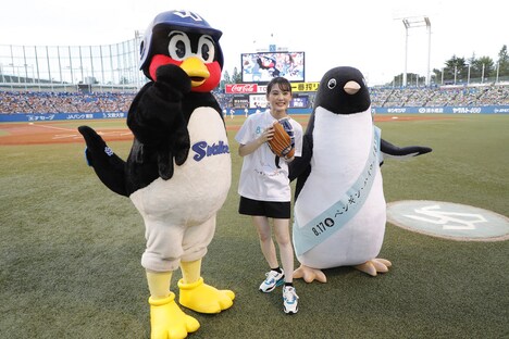 左からつば九郎、北香那、アデリーペンギン。