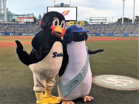 左からつば九郎、アデリーペンギン。