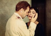 「ティコ・ムーン」