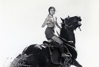 「隠し砦の三悪人」