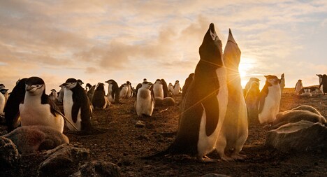 「アース：アメイジング・デイ」