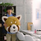レッシーだよ!吉沢亮がレッサーパンダ姿で応援「あのコの、トリコ。」本編映像