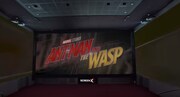 「アントマン＆ワスプ」ScreenX上映イメージ。