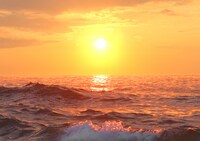 「武蔵-むさし-」