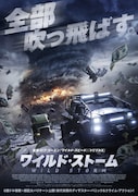 「ワイルド・ストーム」ポスタービジュアル