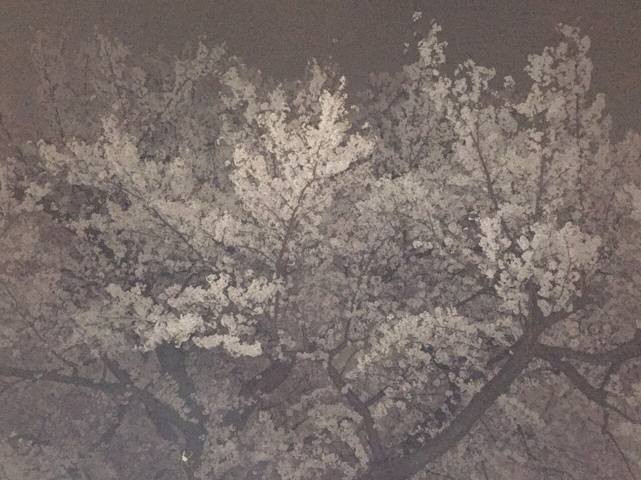 「Where Were We?」