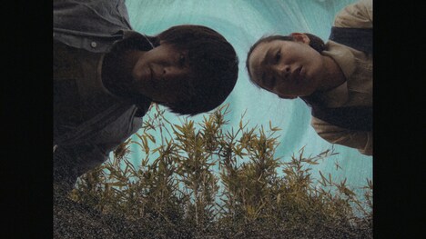 「ゾンからのメッセージ」