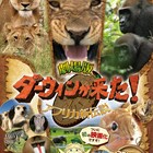 「ダーウィンが来た!」初映画化、アフリカの動物たち捉えた3つの物語で構成