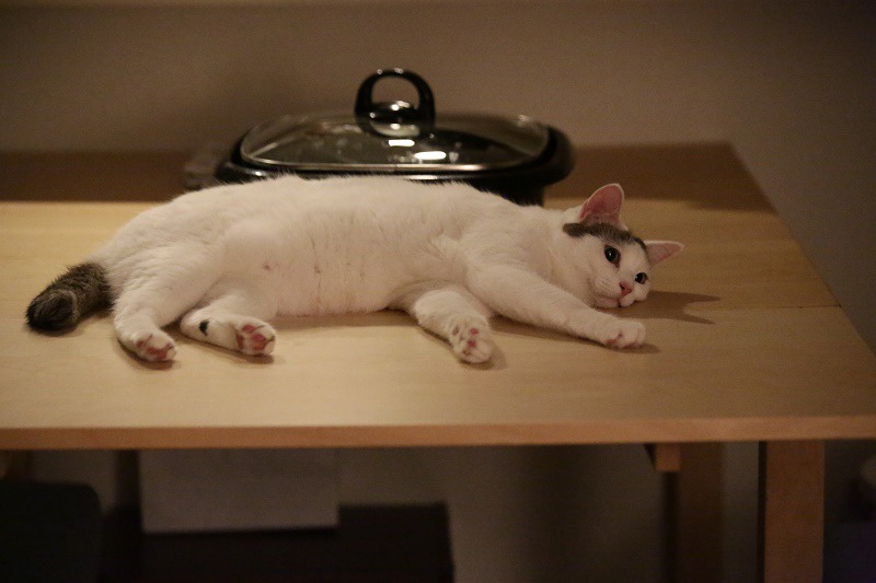 「寝ても覚めても」メイキング写真