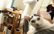 「寝ても覚めても」メイキング写真