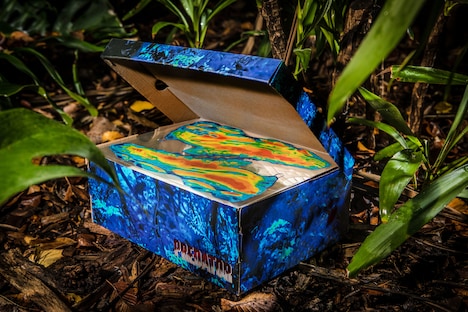 「DMX RUN 10 PREDATOR」