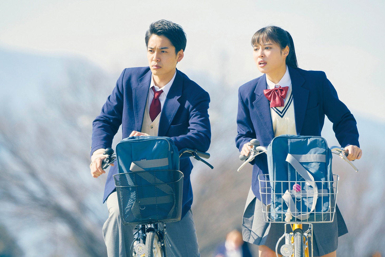 「旅猫リポート」