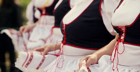 「チェコ・スワン」