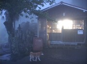 「天竜区奥領家大沢 夏」