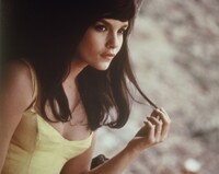 「まぼろしの市街戦（4Kデジタル修復版）」