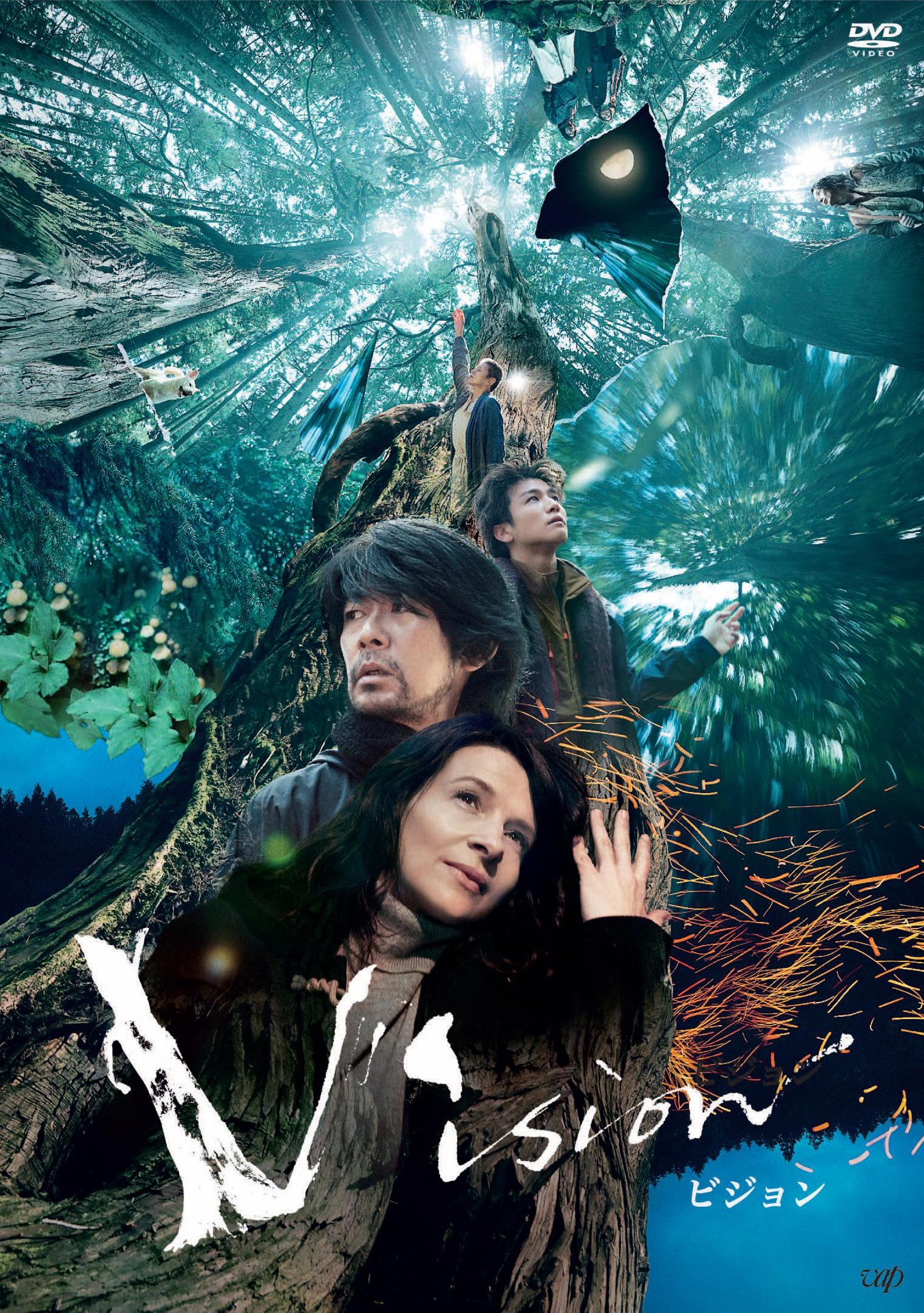 「Vision」DVDジャケット