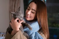 「猫は抱くもの」 (c)2018「猫は抱くもの」製作委員会