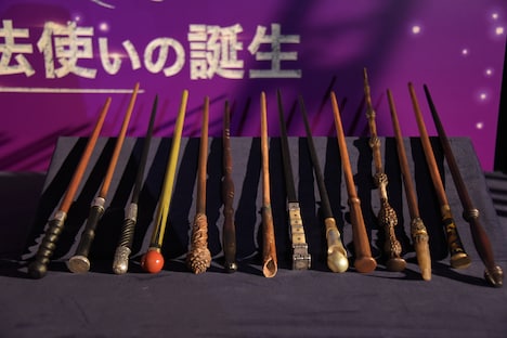 「ファンタスティック・ビーストと黒い魔法使いの誕生」の登場人物たちが使用する魔法の杖。