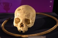 グリンデルバルドが使用する髑髏のパイプ。