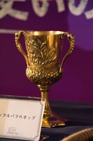 ハッフルパフのカップ。