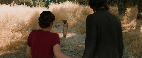 「おとなの恋は、まわり道」新場面写真