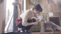 「猫カフェ」