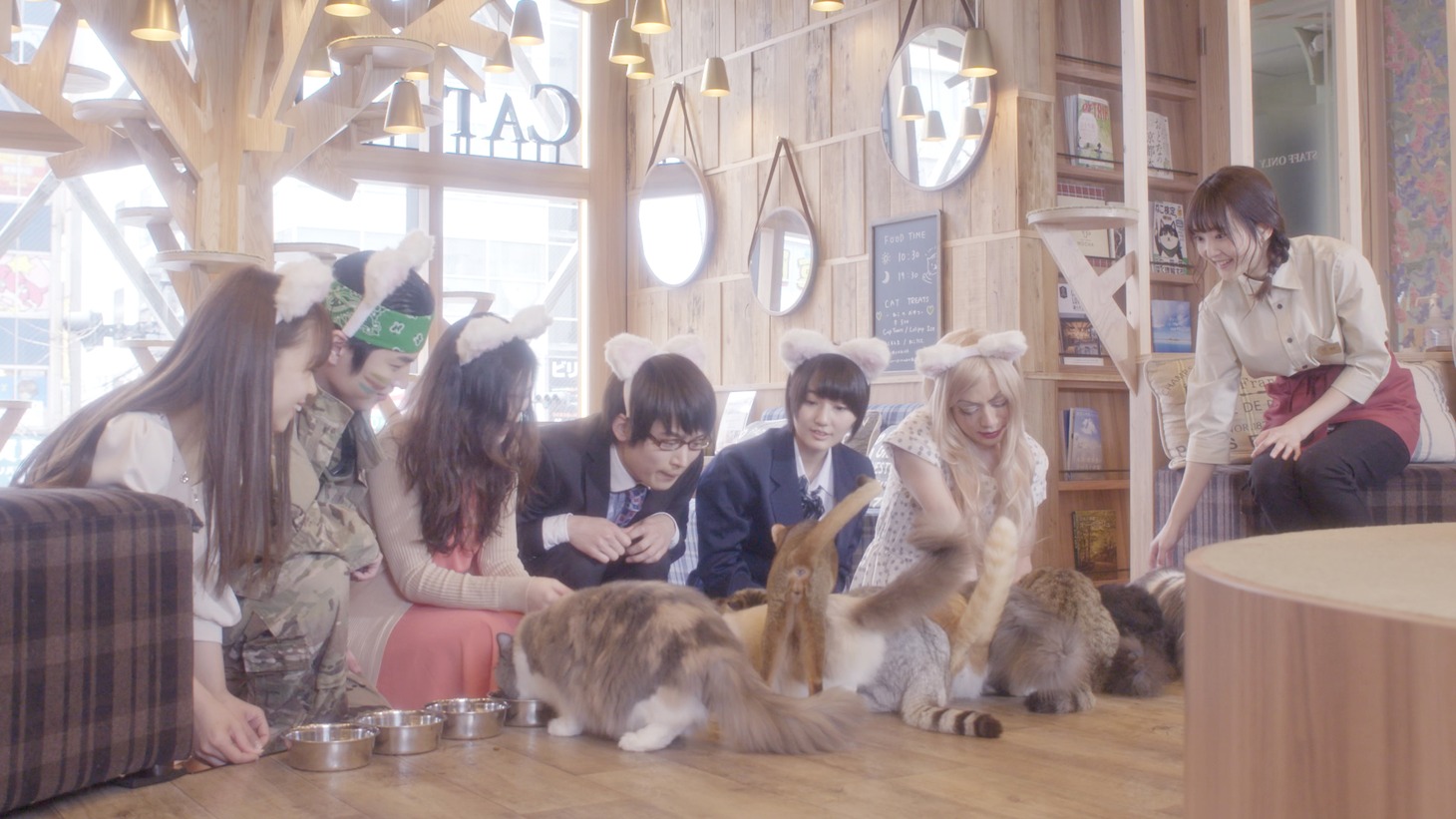「猫カフェ」