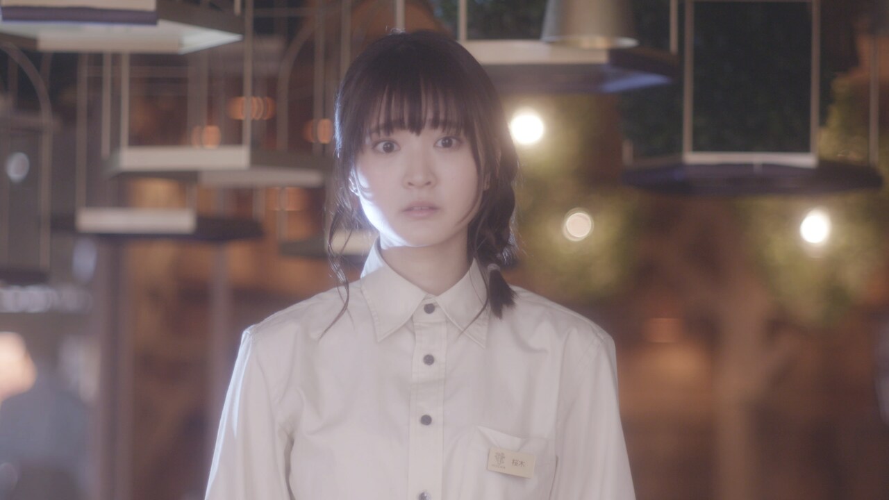 久保ユリカと猫24匹が共演する実写映画「猫カフェ」公開、新井愛瞳や小倉優香も