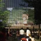 猫27匹と「ネコナデ」を楽しもう!吉祥寺でにゃんこ映画祭、「こまねこ」野外上映も