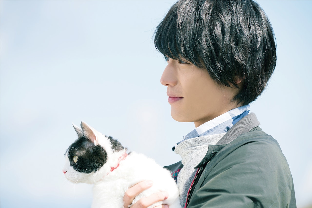 猫のナナには意外な特技が？福士蒼汰主演「旅猫リポート」新予告