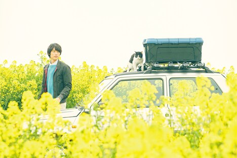 「旅猫リポート」