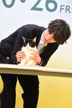 福士蒼汰とナナ。