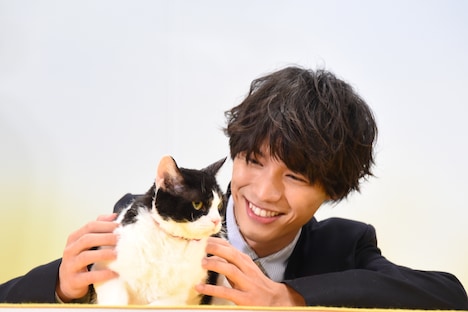 福士蒼汰とナナ。