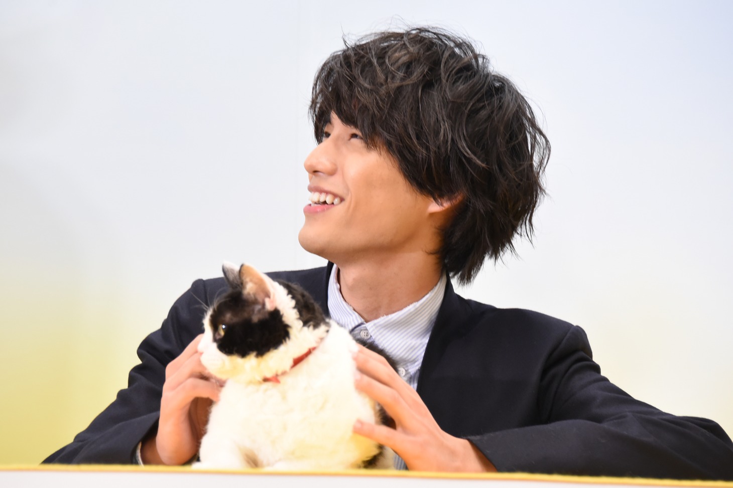 福士蒼汰とナナ。
