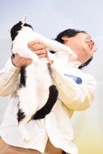 左から猫パンチするナナ、パンチを食らった前野朋哉。