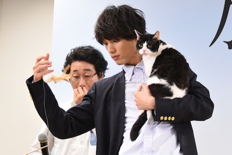 「旅猫リポート」公開前イベントの様子。