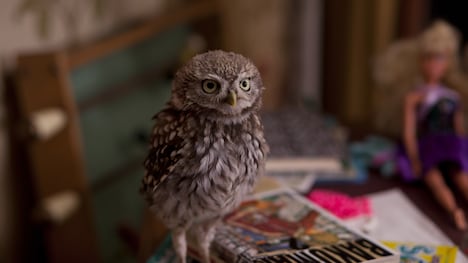 「マチルド、翼を広げ」