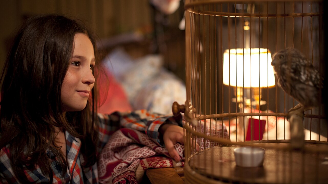 しゃべるフクロウが少女を守る、フランス発のファンタジー「マチルド、翼を広げ」公開