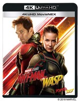 「アントマン＆ワスプ」4K UHD MovieNEXのジャケット。